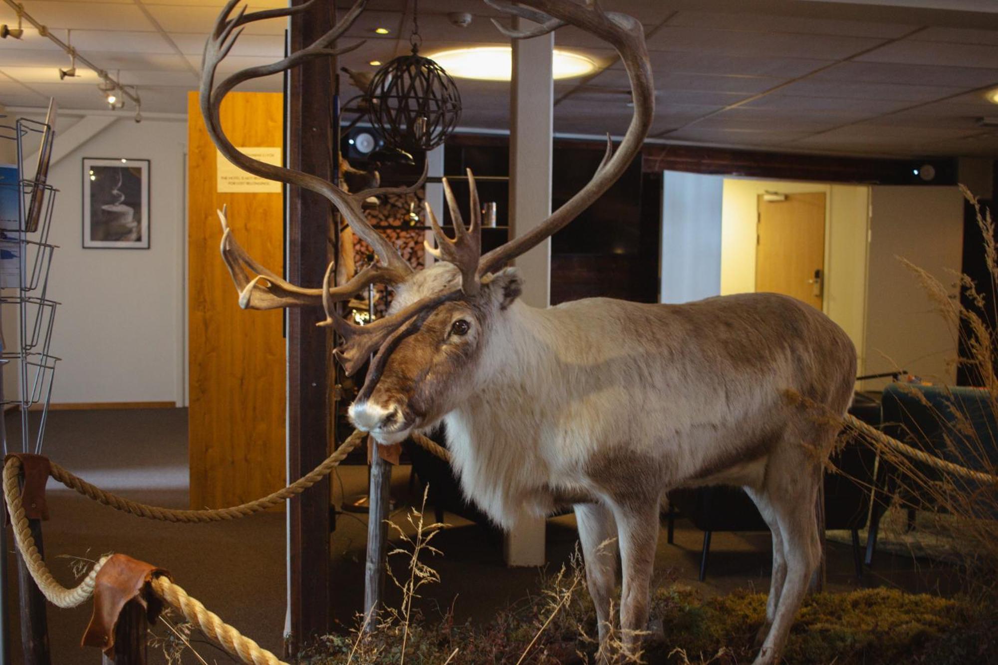 Hornavan Hotell Arjeplog Bagian luar foto